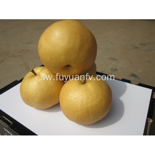 Singao Pear safi kutoka jimbo la Shandong